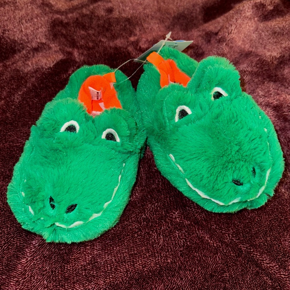 Carters Dinosaur Slippers